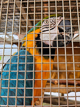 Tropic Hukvaldy (Česká republika)