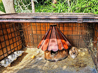 Tropic Hukvaldy (Česká republika)