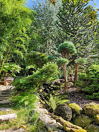 Tropic Hukvaldy (Česká republika)