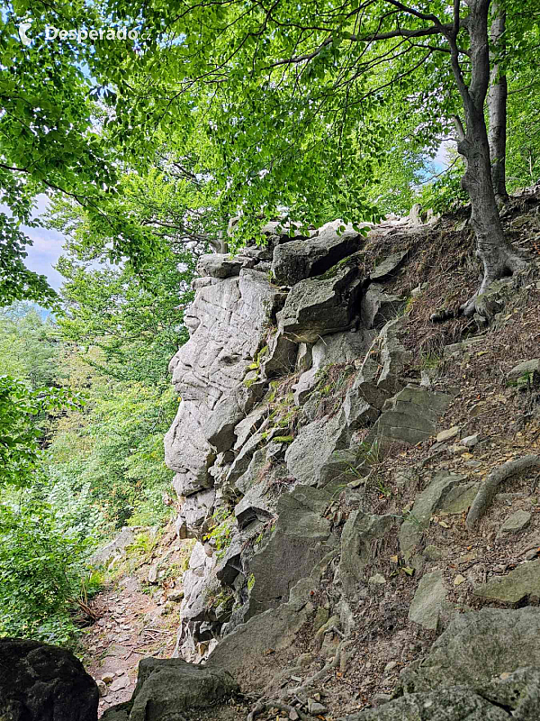 Medvědí skála (Česká republika)