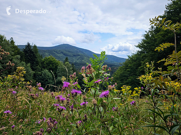 Medvědí skála (Česká republika)