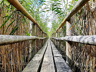 Víkendové cestování