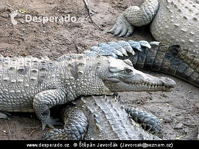 Chacahua (Mexiko)
