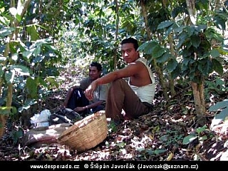 Jezero Lago de Coatepeque (Salvador)