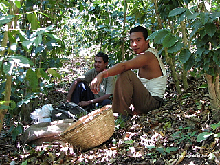 Štěpa ze světa 84 – Jezero Lago de Coatepeque (Salvador), San Pedro Sula (Honduras)