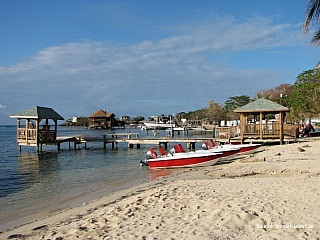 Štěpa ze světa 85 – Roatan, Puerto Cortes (Honduras), Flores (Guatemala)