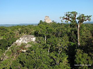 Štěpa ze světa 86 – Tikal, Flores (Guatemala), Belize City, Caye Caulker (Belize)