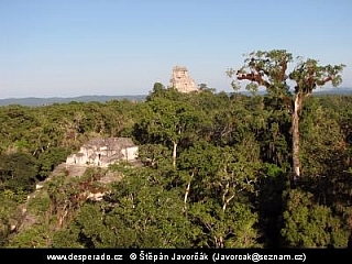 Tikal (Guatemala)