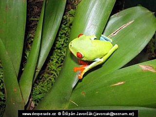La Fortuna, Arenal (Kostarika)