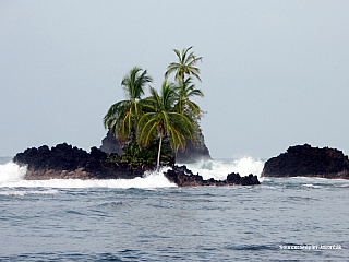 Štěpa ze světa 93 – Puerto Viejo (Kostarika), Bocas (Panama)