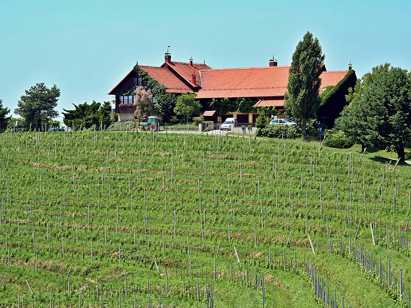 Jeruzalémská vinařská oblast (Slovinsko)