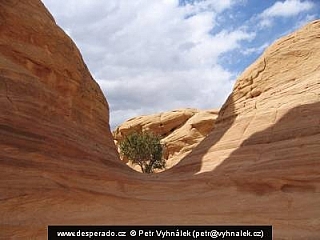 Devil's Garden (Utah - USA)