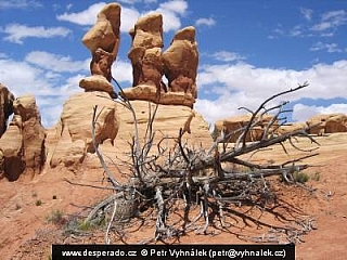 Devil's Garden (Utah - USA)