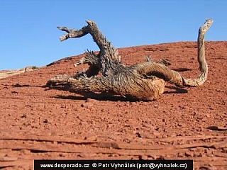 Národní park Canyonlands (Utah - USA)