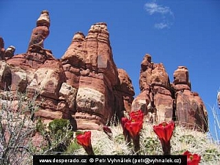 Národní park Canyonlands (Utah - USA)