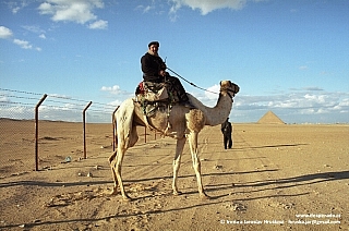 Policista na velbloudu v Dahšúru (Egypt)