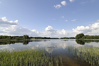 Příroda v Estonsku