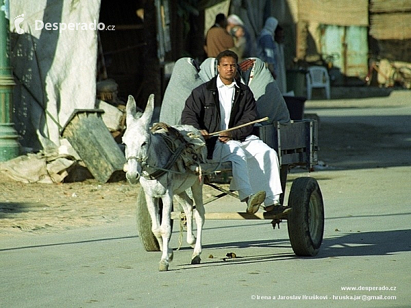 Oáza Siwa (Egypt)