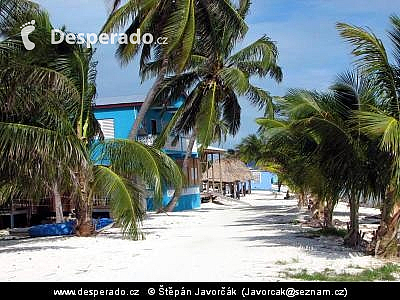 Caye Caulker (Belize)