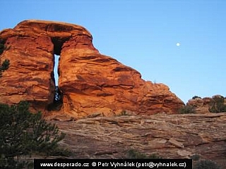 Americká poušť (USA)