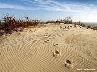 Kurská kosa Nida (Litva)