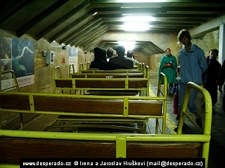 Postojnska jama (Slovinsko)