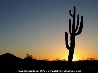 Pouštní krajina na hranicích Arizony a Mexika (USA)