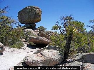 Chiricahua National Monument (Arizona - USA)