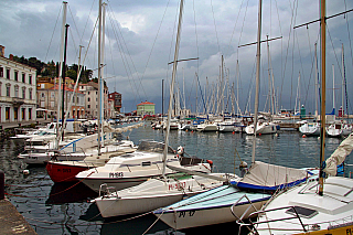 Piran (Slovinsko)