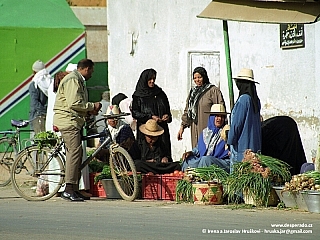 Oáza Dachla (Egypt)