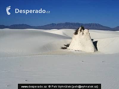 White Sands (New Mexico - USA)
