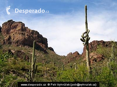 Apache Trail (Arizona - USA)