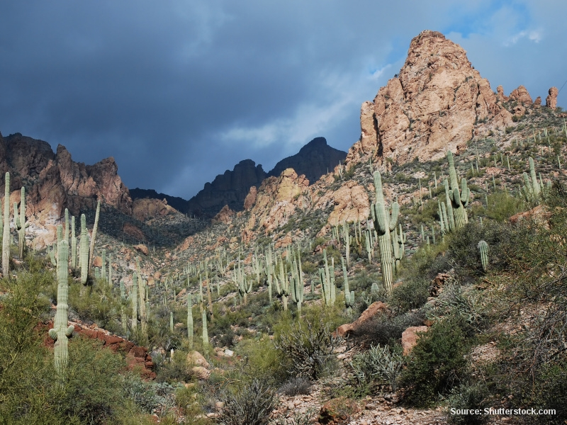 Apache Trail (Arizona - USA)