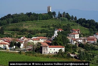 Goriška Brda (Slovinsko)