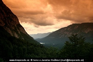 Bohinjské jezero (Slovinsko)