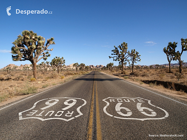 Route 66 (USA)