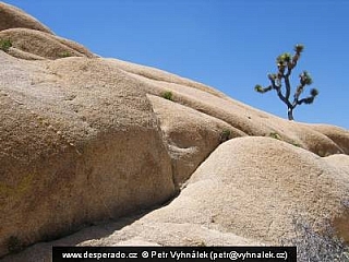 Národní park Joshua Tree (California - USA)