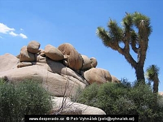 Národní park Joshua Tree (California - USA)
