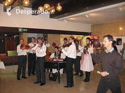 Občanské sdružení Bez mámy