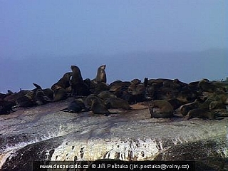 Hout Bay - na cestě za lvouny (Jihoafrická republika)