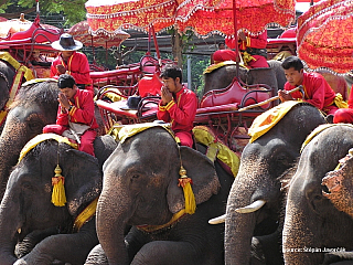 Štěpa ze světa 12 – Bangkok (Thajsko)