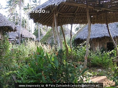 Opusteny resort zarasta ... (Thajsko)