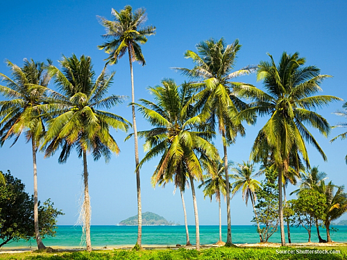 Deník z ostrovů Ko Chang a Ko Mak (díl 5)