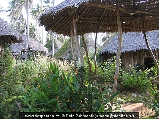 Opusteny resort zarasta ... (Thajsko)