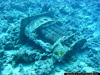 Potápění ke korálovým útesům - Rudé moře (Egypt)