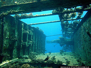 Potápění ke korálovým útesům - Rudé moře (Egypt)