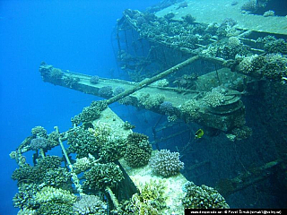 Potápění ke korálovým útesům - Rudé moře (Egypt)