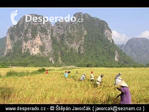 Cestou do Vientiane (Laos)