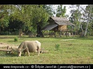 Cestou do Vientiane (Laos)