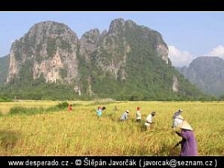Cestou do Vientiane (Laos)